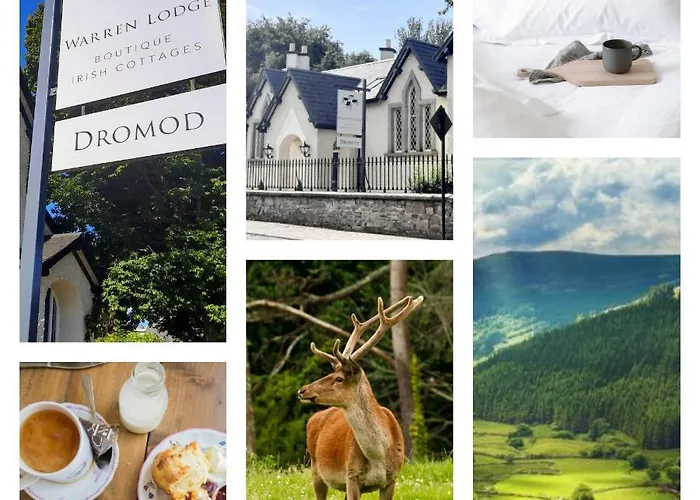 Pensjonat The Old Schoolhouse Of Warren Boutique Dromod